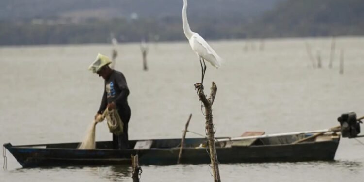 Justiça do Trabalho proíbe sindicato de pescadores do Pará de praticar assédio eleitoral contra associados