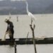 Justiça do Trabalho proíbe sindicato de pescadores do Pará de praticar assédio eleitoral contra associados Justiça do Trabalho proíbe sindicato de pescadores do Pará de praticar assédio eleitoral contra associados