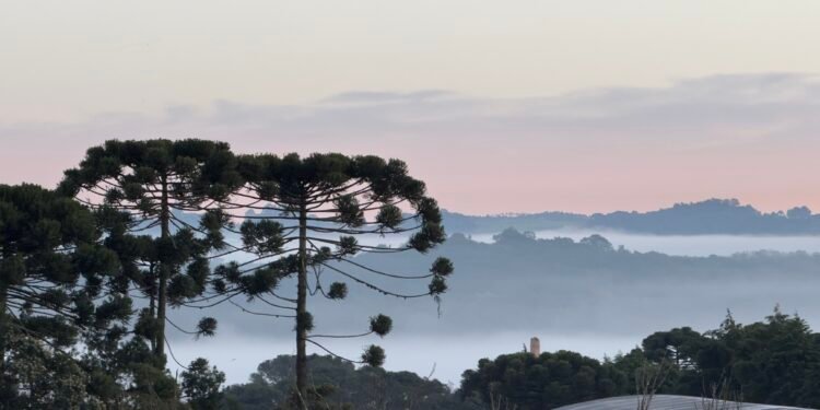 Frente fria pode provocar temperaturas próximas a 0ºC no Paraná em pleno outubro; veja quando, onde e a previsão do tempo Frente fria pode provocar temperaturas próximas a 0ºC no Paraná em pleno outubro; veja quando, onde e a previsão do tempo