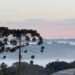 Frente fria pode provocar temperaturas próximas a 0ºC no Paraná em pleno outubro; veja quando, onde e a previsão do tempo