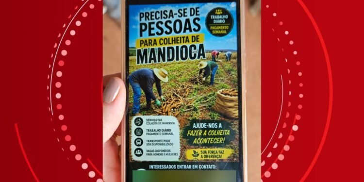‘Sua força faz a diferença’: anúncio em rede social atraiu trabalhadores que foram colocados em condições análogas às de escravo no Paraná ‘Sua força faz a diferença’: anúncio em rede social atraiu trabalhadores que foram colocados em condições análogas às de escravo no Paraná