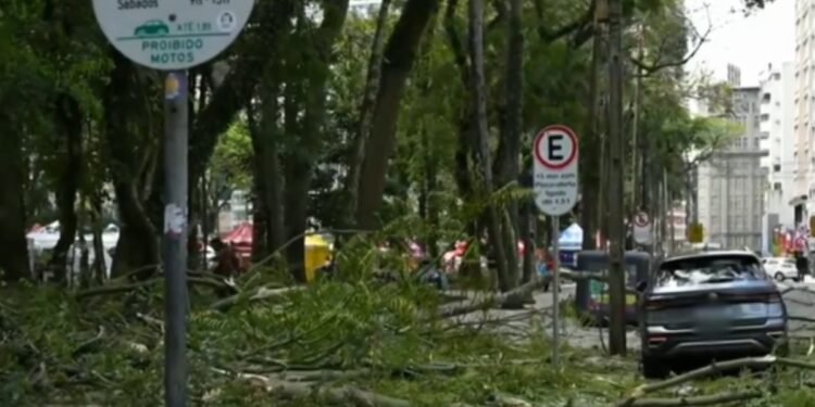 Quatro meses após jovem ficar paraplégica, queda de novo galho deixa mulher ferida e atinge carro na Praça Osório, em Curitiba