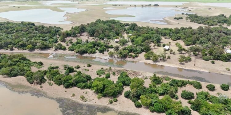 Santarém pede socorro a governos estadual e federal para combater avanço de queimadas Santarém pede socorro a governos estadual e federal para combater avanço de queimadas