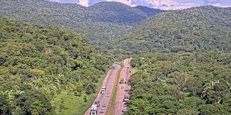 Serra de São Vicente terá bloqueios na BR-364 para poda de árvores e revitalização da sinalização em MT Serra de São Vicente terá bloqueios na BR-364 para poda de árvores e revitalização da sinalização em MT