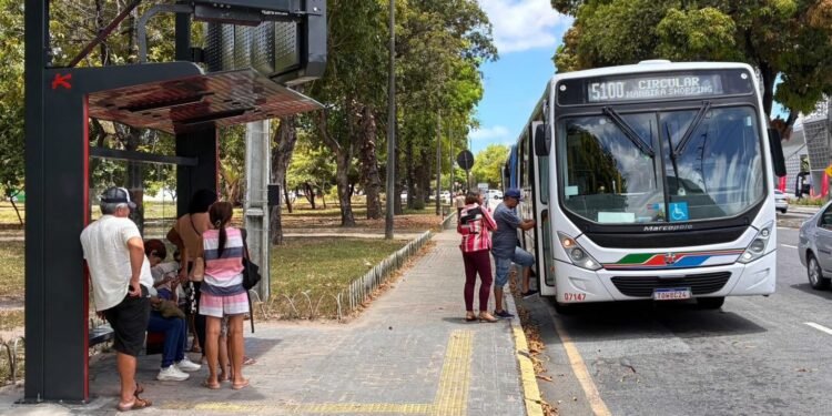 Eleições 2026: João Pessoa e Campina Grande terão alterações no trânsito no 2° turno; veja mudanças Eleições 2026: João Pessoa e Campina Grande terão alterações no trânsito no 2° turno; veja mudanças