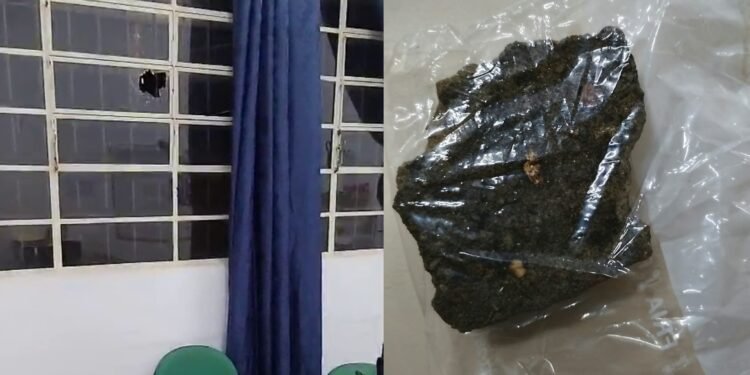 Professora travesti é atacada com pedrada dentro de escola em Avaré: ‘Estavam me esperando’ Professora travesti é atacada com pedrada dentro de escola em Avaré: ‘Estavam me esperando’