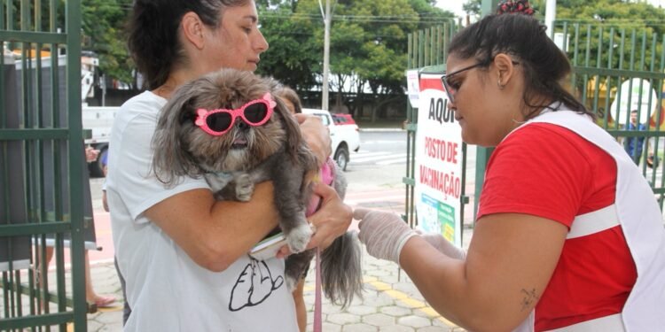 Cães e gatos recebem vacinação emergencial após caso de raiva em morcego em Belém