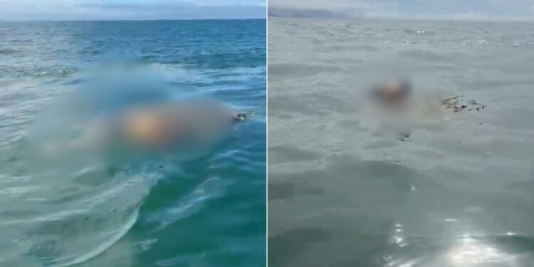 Pescador encontra corpo de mulher no mar de Itanhaém Pescador encontra corpo de mulher no mar de Itanhaém