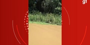 Corpo de homem com Alzheimer que estava desaparecido é encontrado no Rio Doce, em Periquito