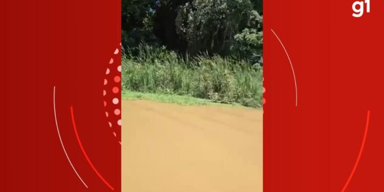 Corpo de homem com Alzheimer que estava desaparecido é encontrado no Rio Doce, em Periquito Corpo de homem com Alzheimer que estava desaparecido é encontrado no Rio Doce, em Periquito
