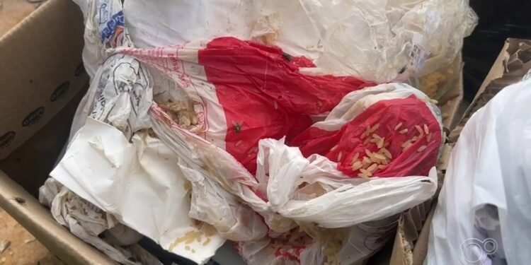 Moradores reclamam de falhas na coleta de lixo em bairro de Itapetininga: ‘Não sabemos quando passa’ Moradores reclamam de falhas na coleta de lixo em bairro de Itapetininga: ‘Não sabemos quando passa’