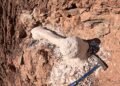 O que um osso de dinossauro encontrado no Peru pode revelar sobre o passado da Terra