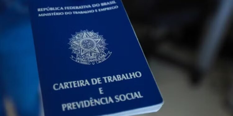 Confira as vagas de empregos para Salvador e RMS nesta sexta-feira (16) Confira as vagas de empregos para Salvador e RMS nesta sexta-feira (16)