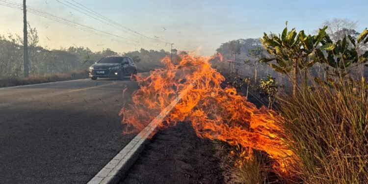 Amapá decreta situação de emergência após avanço da estiagem e das queimadas Amapá decreta situação de emergência após avanço da estiagem e das queimadas