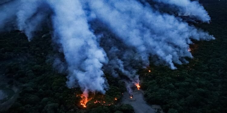 Ministro diz que equipes flagraram pessoas colocando fogo na floresta e anuncia investigação criminal no AM Ministro diz que equipes flagraram pessoas colocando fogo na floresta e anuncia investigação criminal no AM