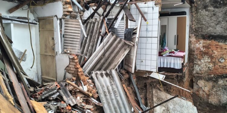 Mulher morta em deslizamento na Brasilândia já havia sobrevivido a outro há 8 anos: ‘Na época, ela salvou os netos’, diz filho Mulher morta em deslizamento na Brasilândia já havia sobrevivido a outro há 8 anos: ‘Na época, ela salvou os netos’, diz filho