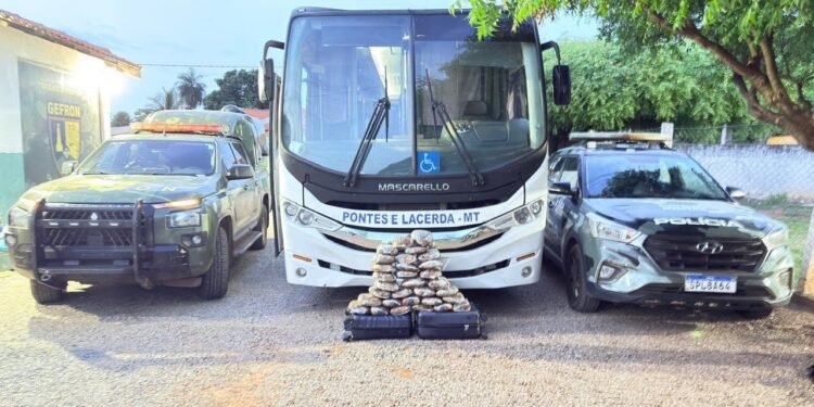 Drogas são apreendidas em ônibus da prefeitura que transporta pacientes em MT Drogas são apreendidas em ônibus da prefeitura que transporta pacientes em MT