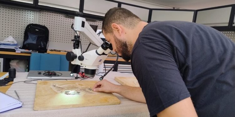 Força-tarefa repatriou mais de 1,2 mil fósseis para museu no Ceará em 5 anos Força-tarefa repatriou mais de 1,2 mil fósseis para museu no Ceará em 5 anos