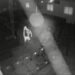 VÍDEO: Homem invade igreja evangélica e furta TVs, computador e equipamentos em Cruzeiro, SP VÍDEO: Homem invade igreja evangélica e furta TVs, computador e equipamentos em Cruzeiro, SP