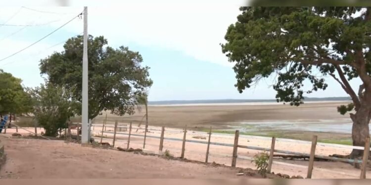 Estiagem em Santarém afeta mais de 6 mil famílias e seca lagos na região do Tapará Estiagem em Santarém afeta mais de 6 mil famílias e seca lagos na região do Tapará