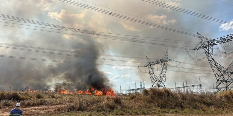 Queimadas ameaçam rede elétrica no oeste do Pará; Santarém já registra 18 ocorrências perto da fiação Queimadas ameaçam rede elétrica no oeste do Pará; Santarém já registra 18 ocorrências perto da fiação