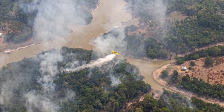 Mais de dez aviões, 390 horas de voo e 1 milhão de litros d’água: como foi o combate aéreo do fogo no AM