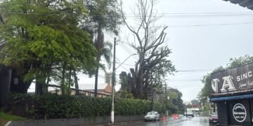 Chuva derruba árvore em escola e alaga posto de saúde na região de Campinas; Defesa Civil prepara esquema para eleições Chuva derruba árvore em escola e alaga posto de saúde na região de Campinas; Defesa Civil prepara esquema para eleições